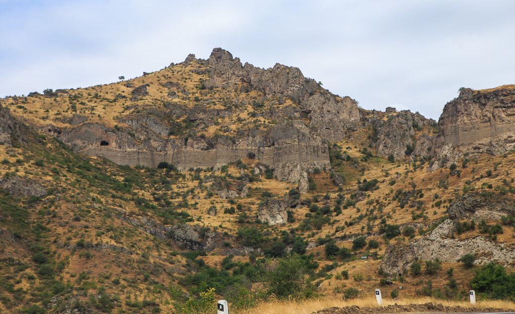 Goris